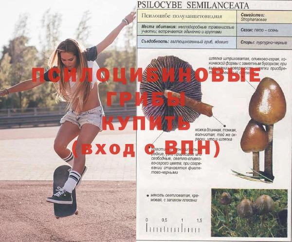 эйфоретик Бронницы